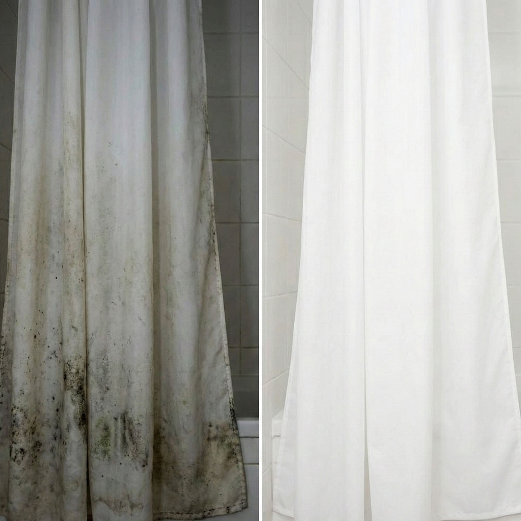 DUA London Professional Mould Removal & Prevention Use 2