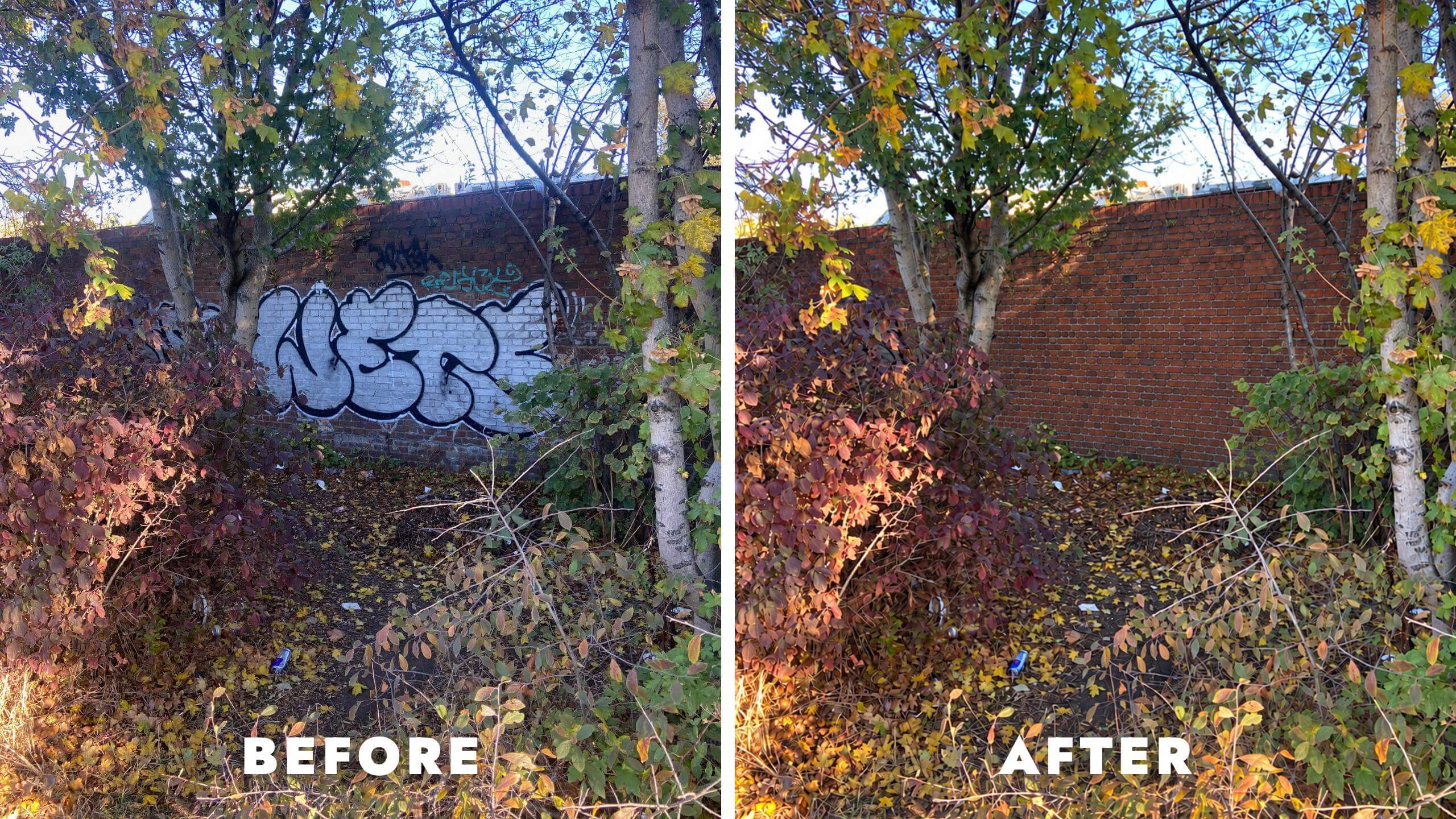 professional graffiti removal walthamstow london