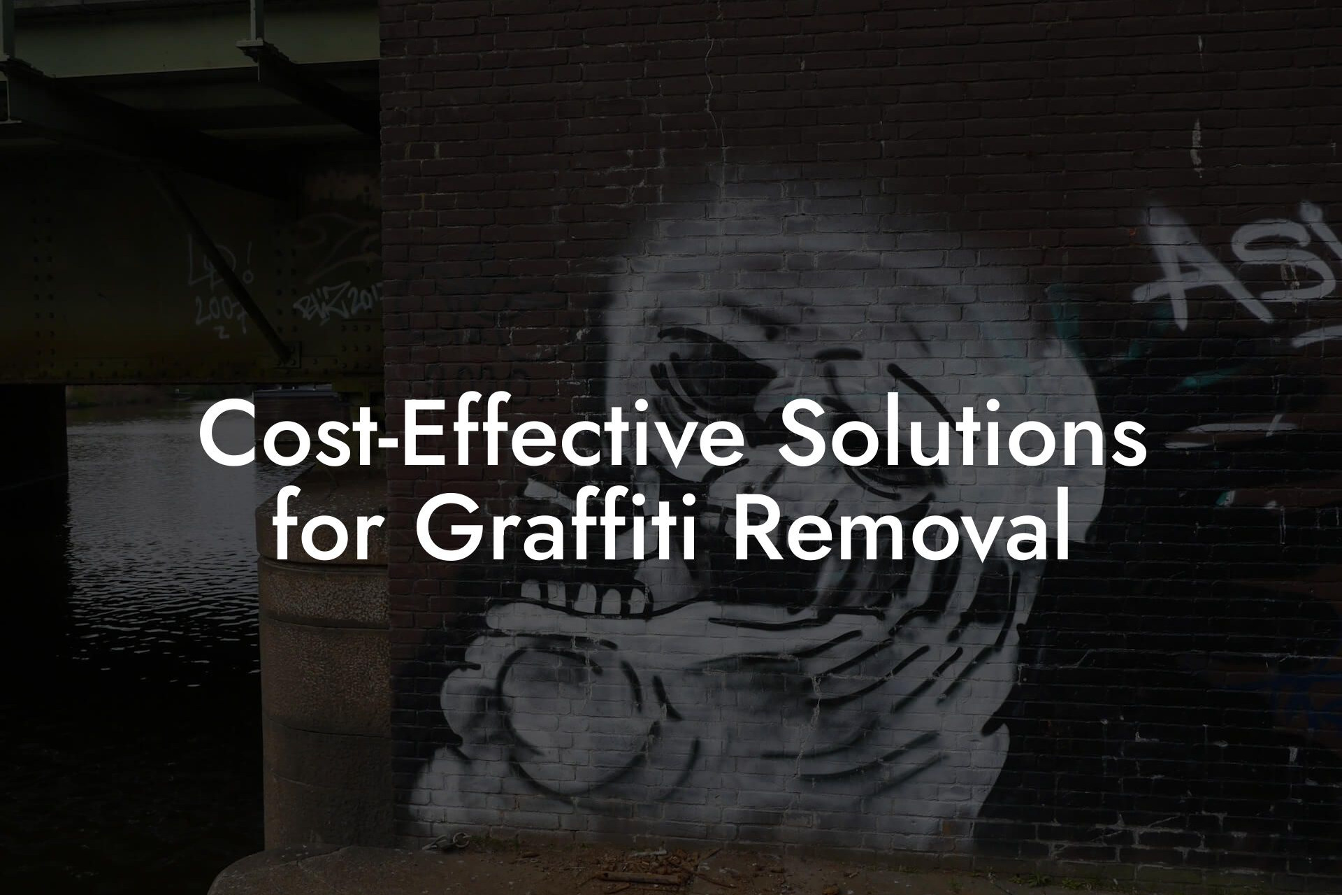 Cost-Effective Solutions for Graffiti Removal