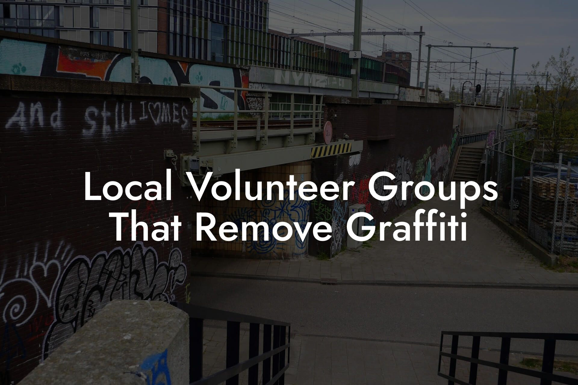 Local Volunteer Groups That Remove Graffiti