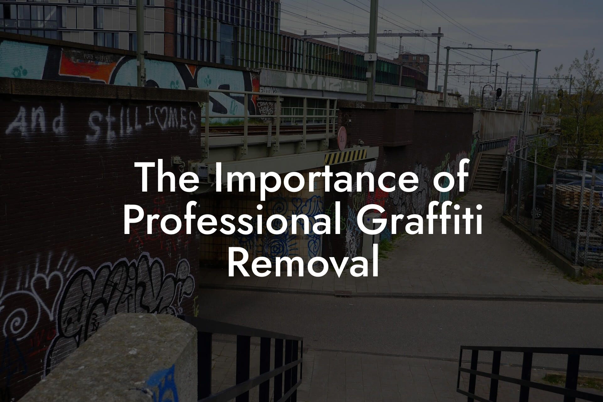 The Importance of Professional Graffiti Removal